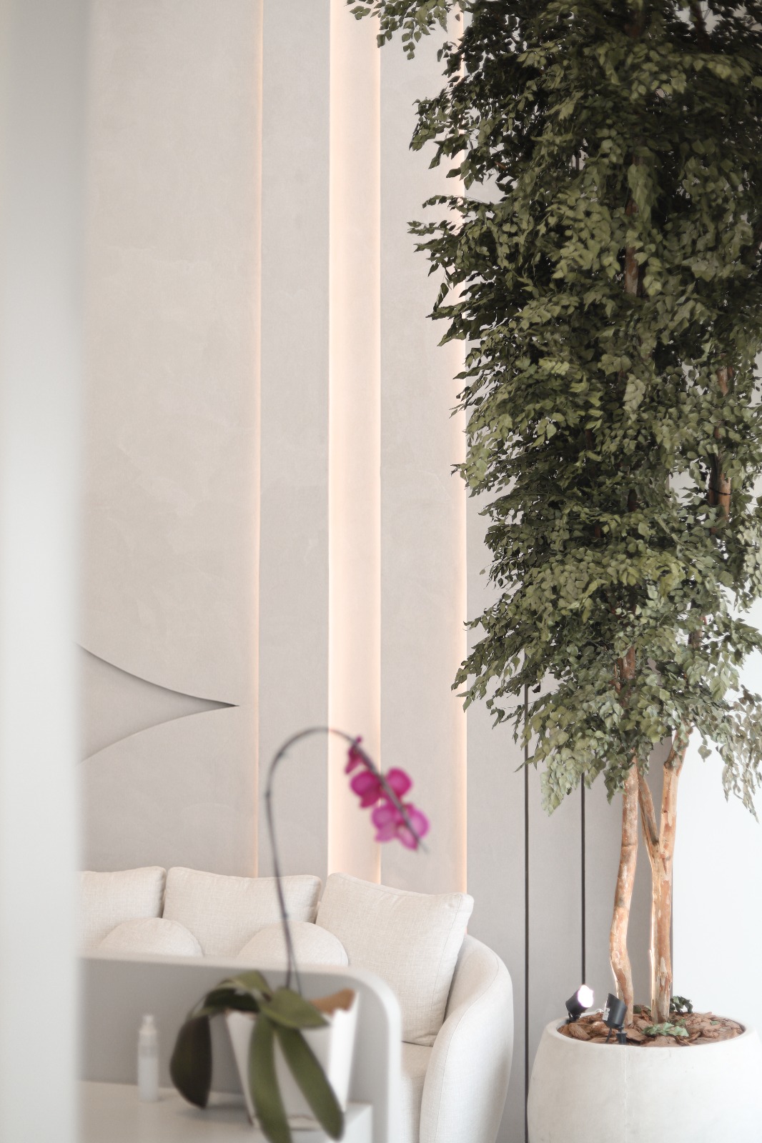 WhatsApp Image 2025-07-11 at 17.29.35